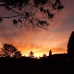 House in the Condominium